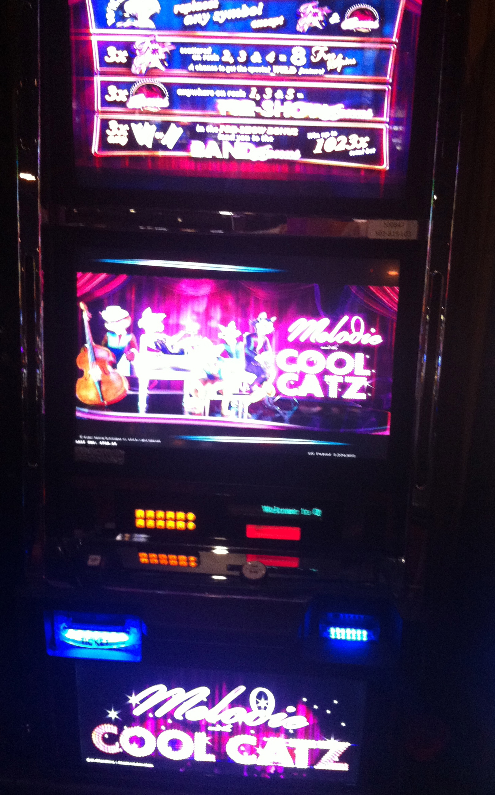 Cool Catz Slot Machine App
